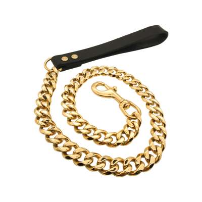 Oem fashion metal pet products brass snake dog chains link punk tactical slave shock gold training dog harness